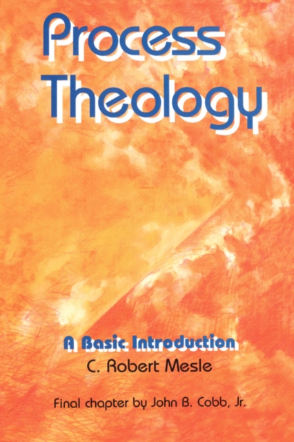 Process Theology; A Basic Introduction, Paperback / softback Book