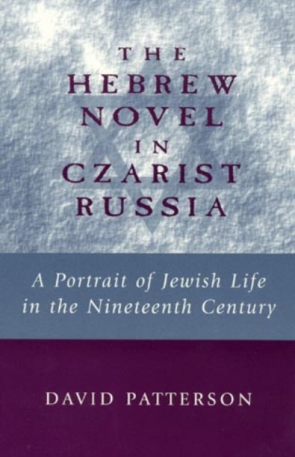 The Hebrew Novel in Czarist Russia : A Portrait of Jewish Life in the Nineteenth Century, Hardback Book