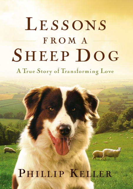 Lessons from a Sheep Dog : A True Story of Transforming Love, Hardback Book