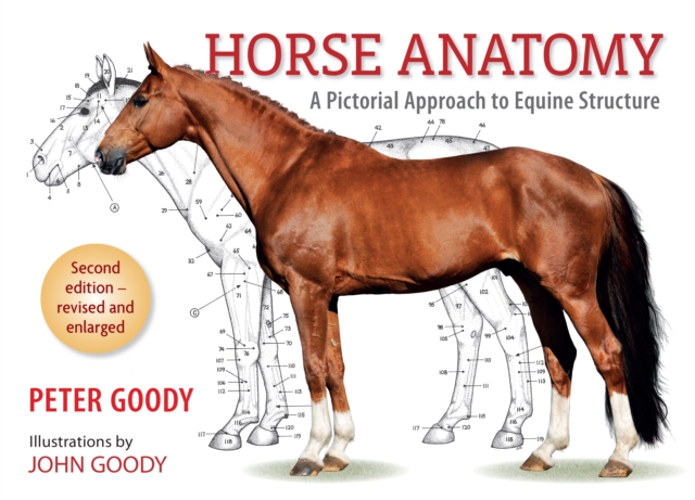 Horse Anatomy : A Pictorial Approach to Equine Structure, Paperback / softback Book