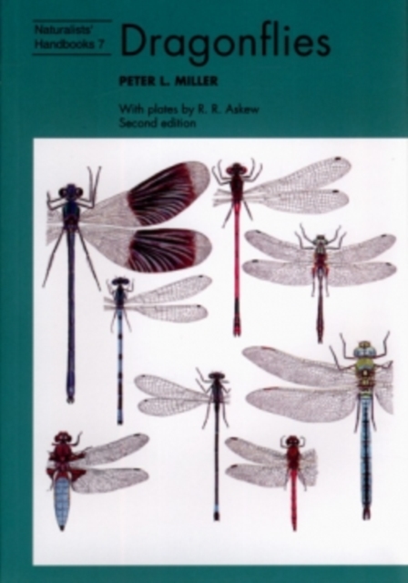 Dragonflies, Paperback / softback Book