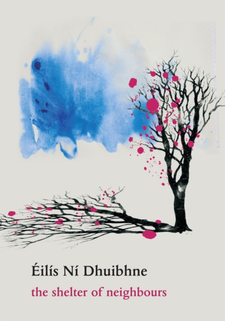 The Shelter of Neighbours : Fourteen Contemporary Irish Short Stories, EPUB eBook