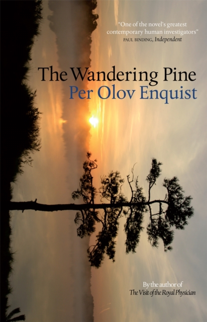 The Wandering Pine : Life as a Novel, Hardback Book