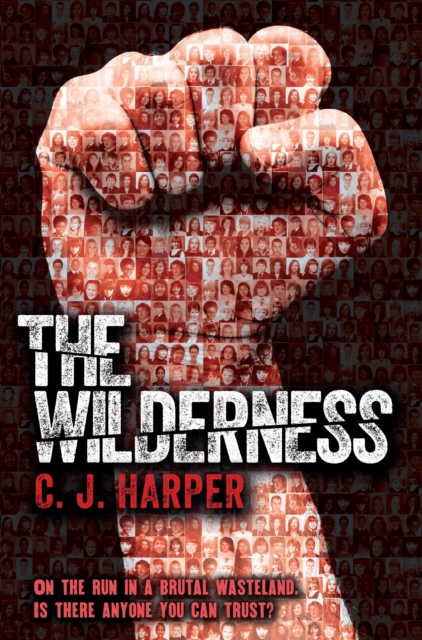 The Wilderness, Paperback / softback Book
