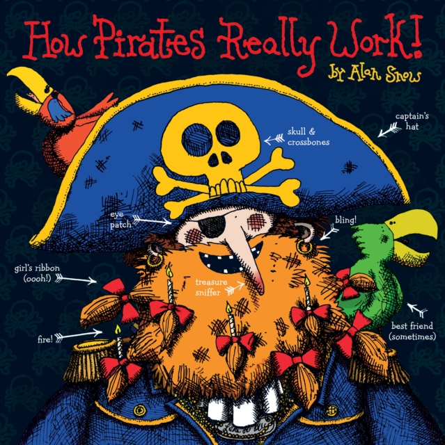 How Pirates Really Work, Hardback Book