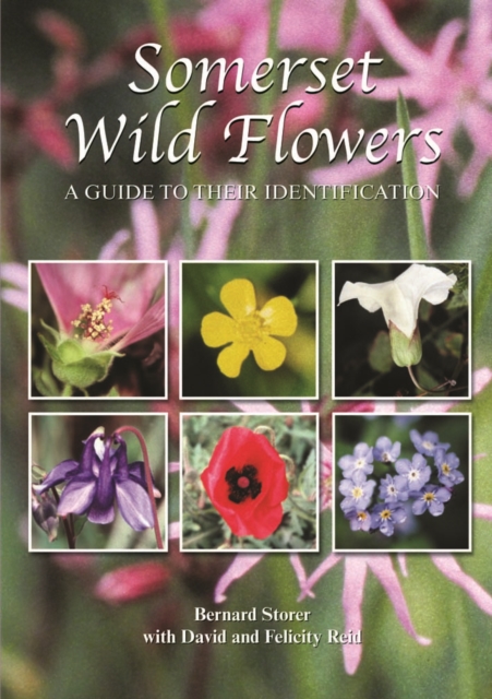 Somerset Wild Flowers : A Guide to Their Identification, Hardback Book