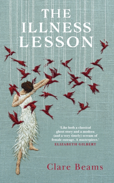 The Illness Lesson, Hardback Book