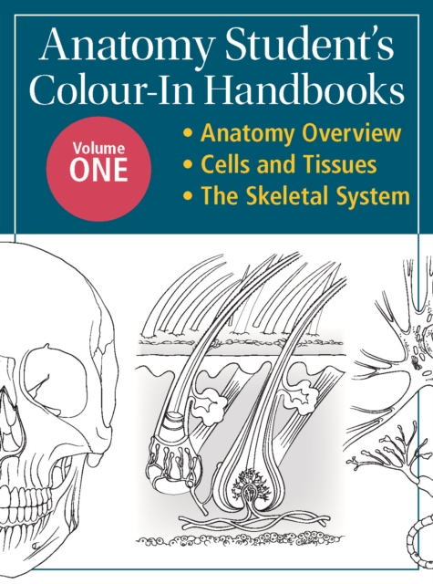 Anatomy Student's Colour-In Handbooks: Volume Two : The Muscular System; The Digestive System, Paperback / softback Book