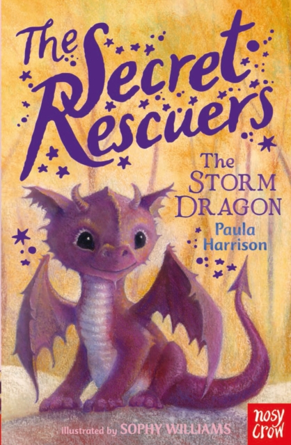 The Secret Rescuers: The Storm Dragon, Paperback / softback Book