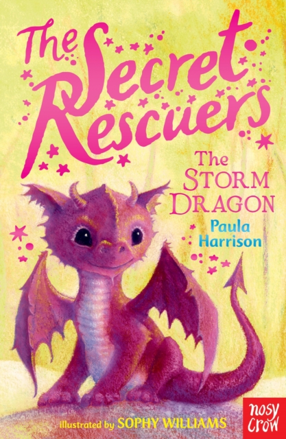 The Secret Rescuers: The Storm Dragon, EPUB eBook
