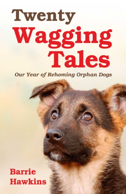 Twenty Wagging Tales : Our Year of Rehoming Orphaned Dogs, EPUB eBook
