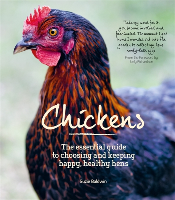 Chickens, Paperback / softback Book
