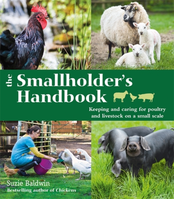 The Smallholder's Handbook: Keeping & caring for poultry & livestock on a small scale, Paperback / softback Book