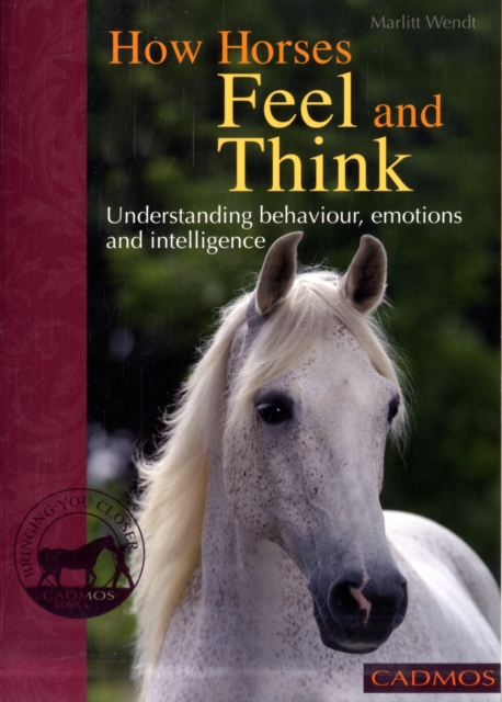 How Horses Feel and Think : Understanding Behaviour, Emotions and Intelligence, Paperback / softback Book