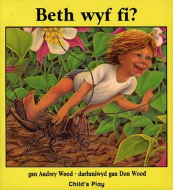Beth Wyf Fi?, Paperback / softback Book