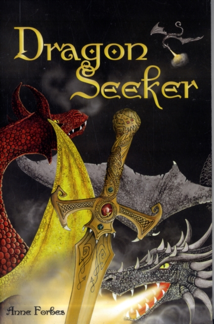 Dragon Seeker, Paperback / softback Book