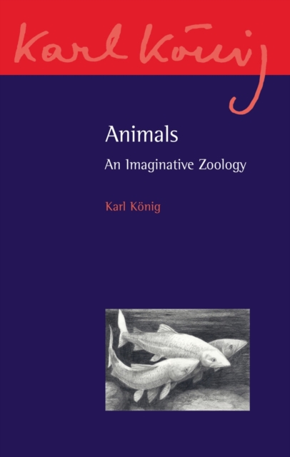 Animals : An Imaginative Zoology, Paperback / softback Book