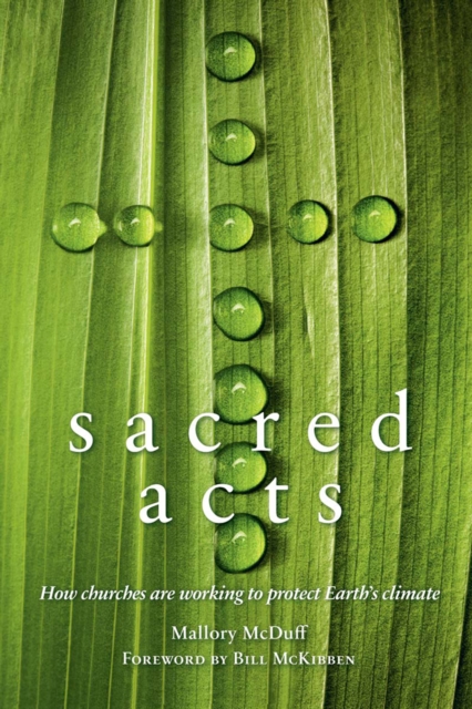 Sacred Acts : How Churches are Working to Protect Earth's Climate, Paperback Book