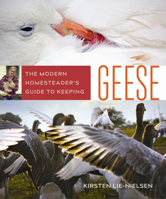 The Modern Homesteader's Guide to Keeping Geese, Paperback / softback Book