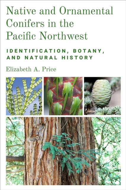 Native and Ornamental Conifers of the Pacific Northwest : Identification, Botany and Natural History, Paperback / softback Book