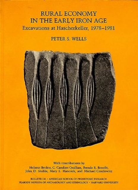 Rural Economy in the Early Iron Age : Excavations at Hascherkeller, 1978-1981, Paperback / softback Book