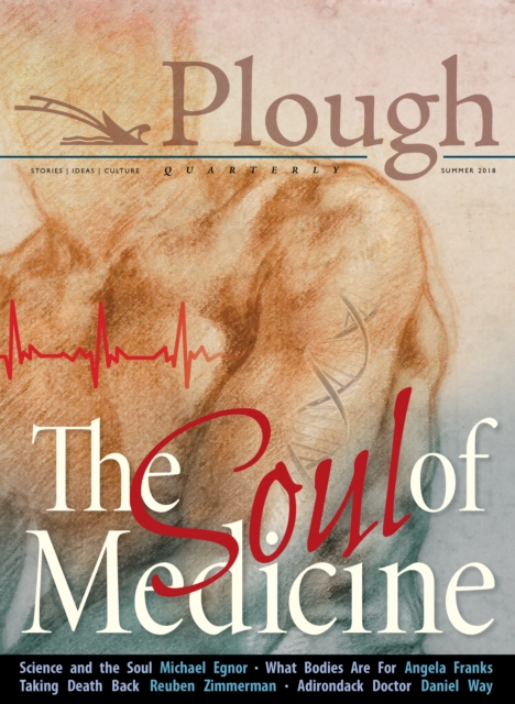 Plough Quarterly No. 17- The Soul of Medicine, Paperback / softback Book