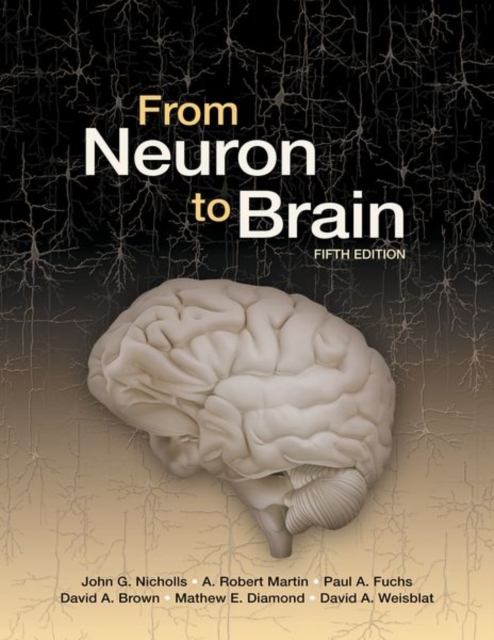 From Neuron to Brain, Hardback Book