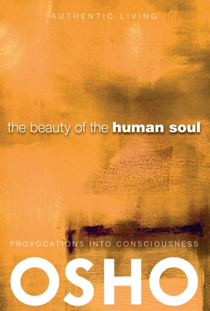 The Beauty of the Human Soul : Provocations Into Consciousness, EPUB eBook