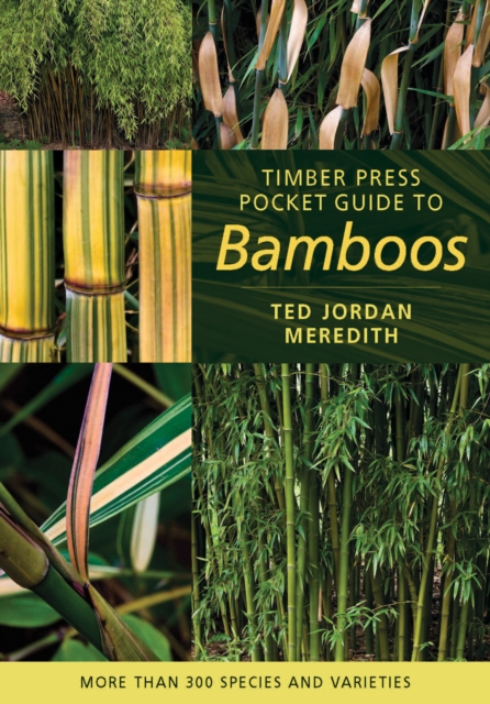 Timber Press Pocket Guide to Bamboos, Paperback / softback Book
