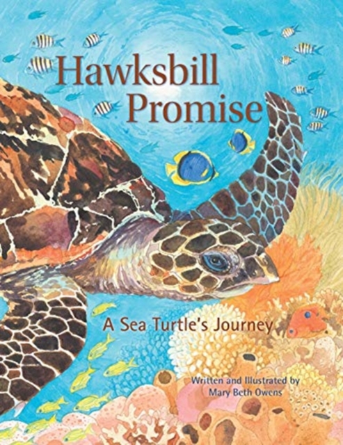 Hawksbill Promise : The Journey of an Endangered Sea Turtle, Hardback Book