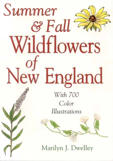 Summer & Fall Wildflowers of New England, Paperback / softback Book