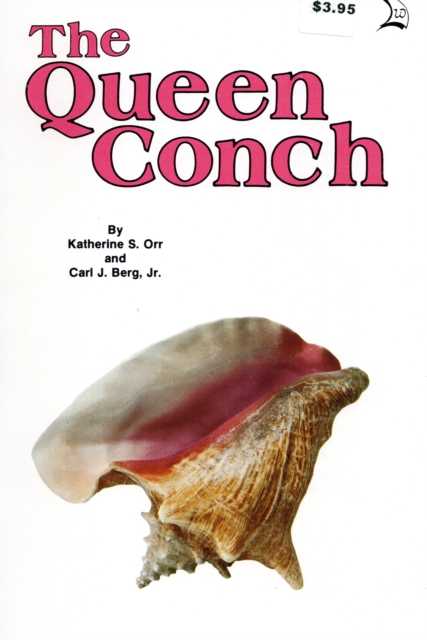 Queen Conch, Paperback / softback Book