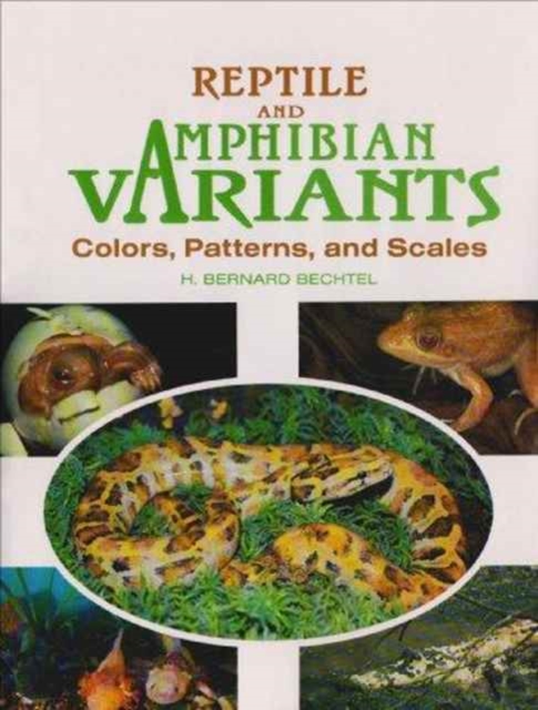 Reptile and Amphibian Variants : Colors, Patterns and Scales, Hardback Book