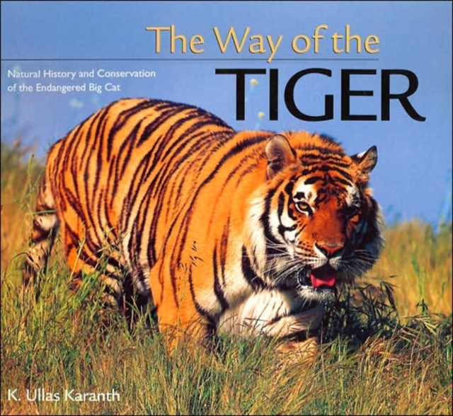 The Way of the Tiger : Natural History and Conservation of the Endangered Big Cat, Paperback / softback Book