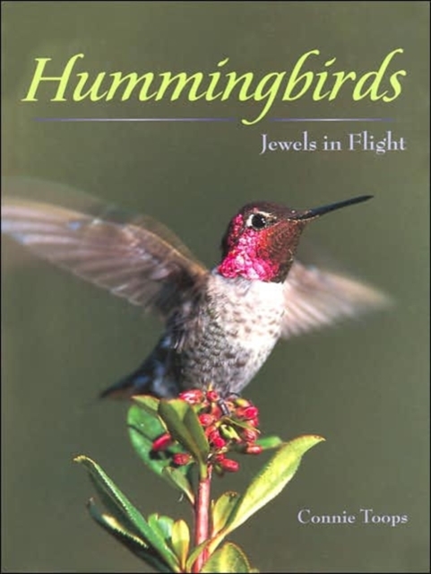 Hummingbirds : Jewels in Flight, Hardback Book