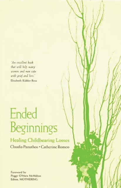 Ended Beginnings : Healing Childbearing Losses, Paperback / softback Book