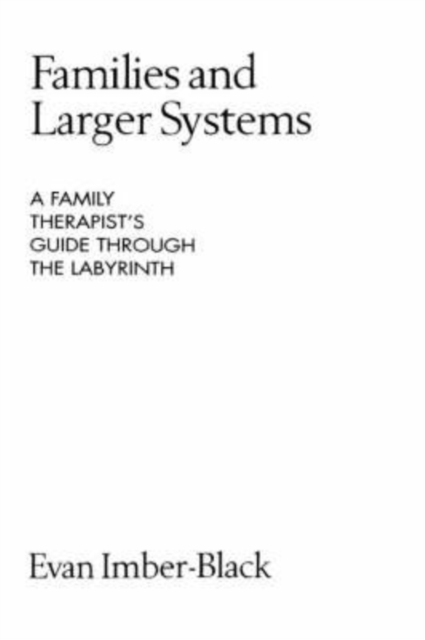 Families and Larger Systems : A Family Therapist's Guide through the Labyrinth, Paperback / softback Book
