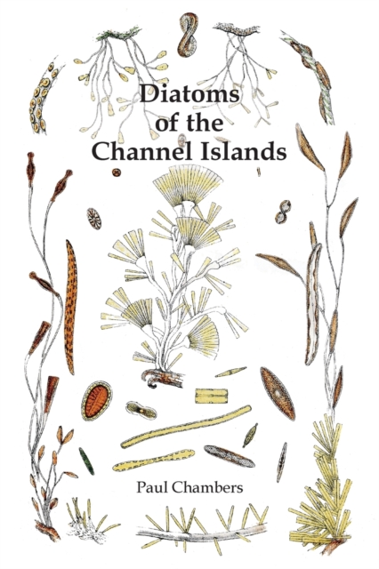 Diatoms of the Channel Islands, Paperback / softback Book