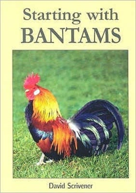 Starting with Bantams, Paperback / softback Book