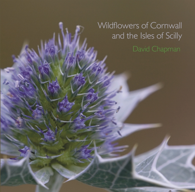 Wildflowers of Cornwall and the Isles of Scilly, Paperback / softback Book