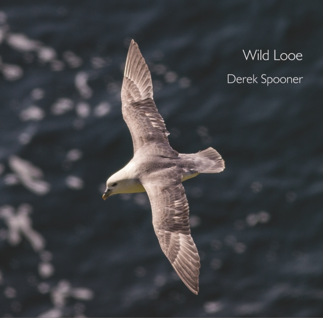 Wild Looe, Paperback / softback Book