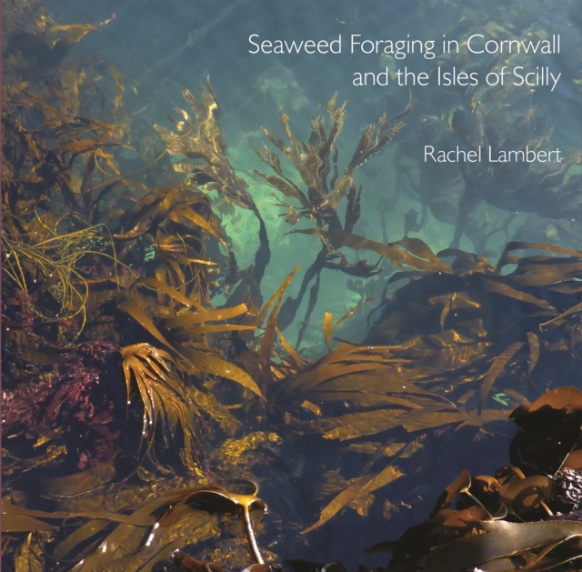 Seaweed Foraging in Cornwall and the Isles of Scilly, Paperback / softback Book