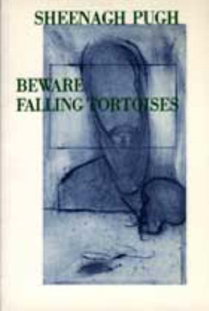 Beware Falling Tortoises, Paperback / softback Book