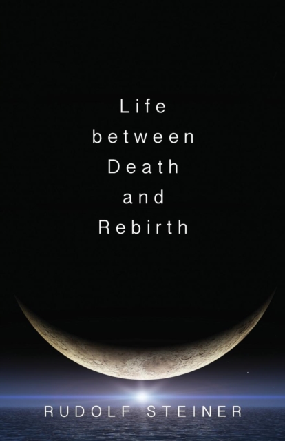 Life Between Death and Rebirth : The Active Connection Between the Living and the Dead, Paperback / softback Book