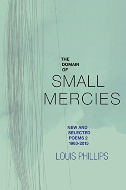 The Domain of Small Mercies, Paperback / softback Book