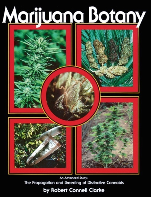 Marijuana Botany : An Advanced Study: The Propagation and Breeding of Distinctive Cannabis, Paperback / softback Book