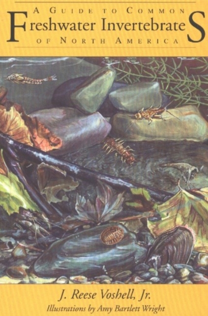 Guide to Common Freshwater Invertebrates of North America, Paperback / softback Book
