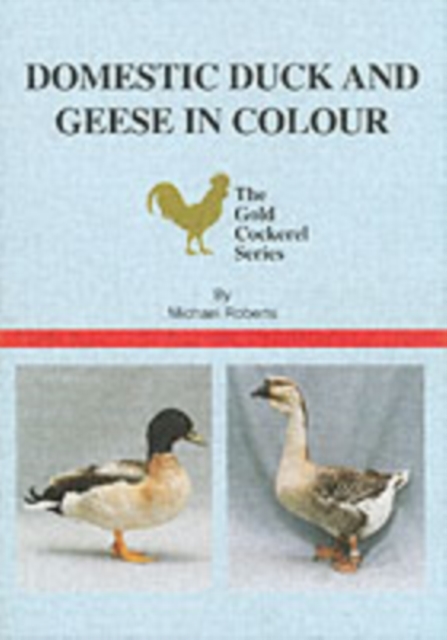 Domestic Duck and Geese in Colour, Paperback / softback Book