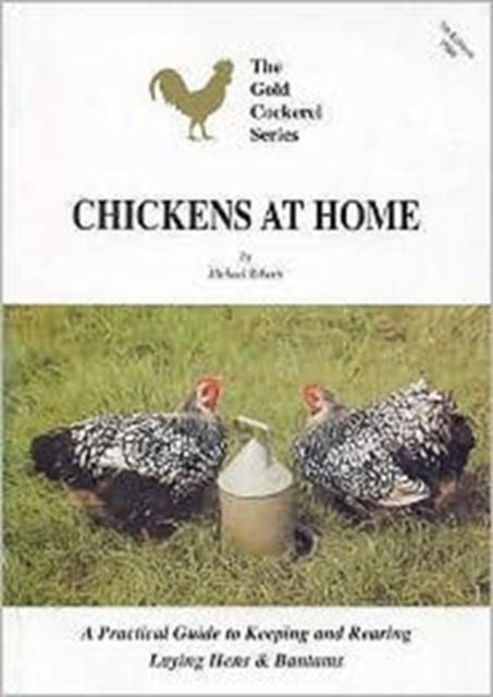 Chickens at Home, Paperback Book