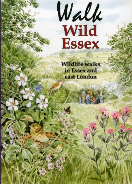 Walk Wild Essex : 50 Wildlife Walks in Essex and East London, Paperback / softback Book